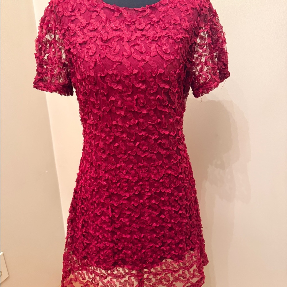 Lulu's Ruby Textured Mini Dress - image 1